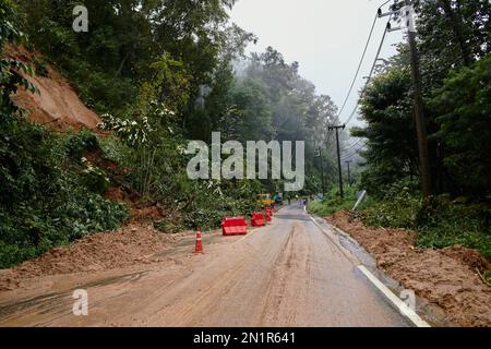 Embouteillage sur une route de montagne. Arbre tombé bloquant la route. Conséquences d'un ouragan et d'un dérapage. Banque D'Images