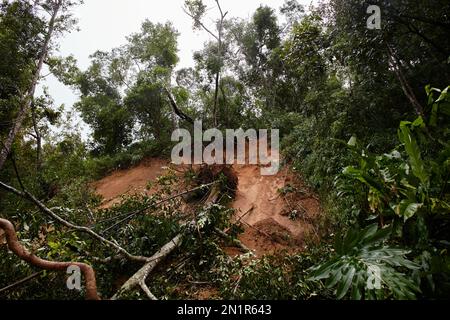 Embouteillage sur une route de montagne. Arbre tombé bloquant la route. Conséquences d'un ouragan et d'un dérapage. Banque D'Images