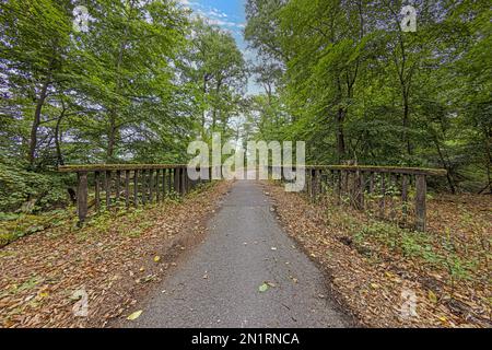 Image du chemin forestier et du pont avec garde-corps en bois pendant la journée en été Banque D'Images