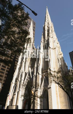 Vue à angle bas de la rue antique Cathédrale de Patrick dans la rue de New York, image de stock Banque D'Images