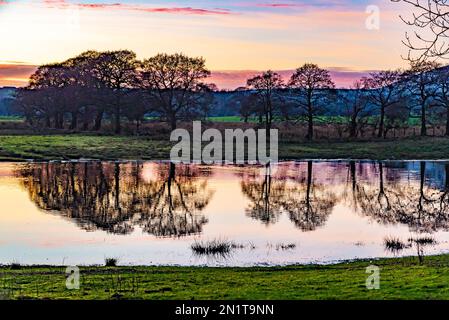 Chipping, Preston, Lancashire, Royaume-Uni. 6th févr. 2023. Coucher de soleil et réflexions, Chipping, Preston, Lancashire, Royaume-Uni crédit: John Eveson/Alamy Live News Banque D'Images