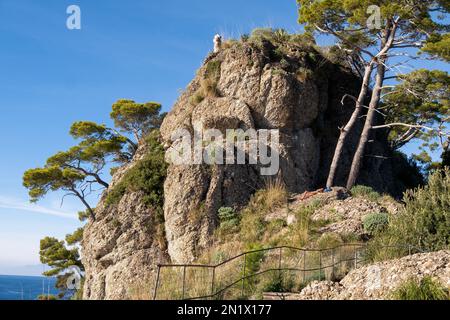 Riviera italienne - Camogli, Ligurie, Italie. Paysage pittoresque avec des falaises abruptes et des arbres pendant une journée ensoleillée Banque D'Images