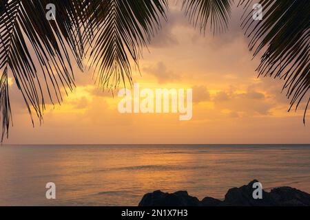Magnifique coucher de soleil coloré sur une plage tropicale paradisiaque. Des couleurs dorées sur l'horizon. Banque D'Images