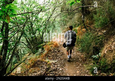 HOMME MARCHANT DANS LA NATURE ET FAISANT UNE RANDONNÉE Banque D'Images