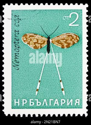 MOSCOU, RUSSIE - 4 FÉVRIER 2023: Timbre-poste imprimé en Bulgarie montre Spoonwing (Nemoptera coa), série d'insectes, circa1964 Banque D'Images