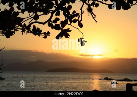 Paysage plage Banque D'Images