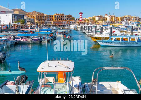 Le port de croisière coloré et animé avec des boutiques, des cafés et des bateaux dans la marina le long de la Riviera mexicaine à Cabo San Lucas, Mexique. Banque D'Images