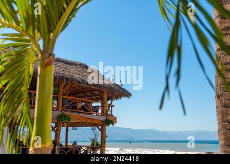 Café en bord de mer avec patio en plein air et pélicans sur le toit de la cabane de paille le long de la zone Olas Altas Malecon de la Zona Romantica, Puerto Vallarta Mexique Banque D'Images