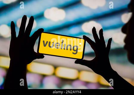 Brésil. 06th févr. 2023. Dans cette illustration, le logo Vueling Airlines s'affiche sur l'écran d'un smartphone. (Photo de Rafael Henrique/SOPA Images/Sipa USA) crédit: SIPA USA/Alay Live News Banque D'Images