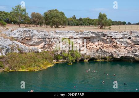 Nageurs qui profitent d'un plongeon dans le lac Little Blue au sud du mont Gambier, dans le sud-est de l'Australie méridionale Banque D'Images