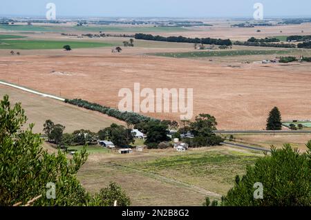 Vue vers le sud depuis le cône volcanique du mont Schank, sud-est de l'Australie méridionale Banque D'Images