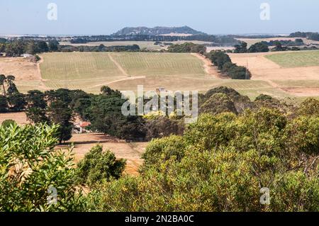 Mount Schank, cratère volcanique éteint, vu des lacs de la vallée, Mount Gambier, Australie méridionale Banque D'Images