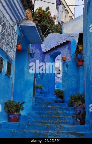 Escalier bleu à Blue City Chefchaouen, nord du Maroc, région de Tanger-Tétouan-Al Hoceima, Maroc Banque D'Images