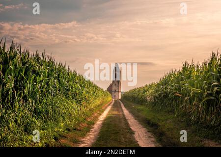 Ruine d'une église dans un champ de maïs. Ancienne tour de l'église catholique au coucher du soleil, Pusztatorony, Somogyvamos au lac Balaton, Hongrie Banque D'Images