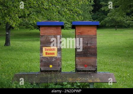 Dettinger Kirschenweg, ruches, panneau attention abeilles, derrière elle cerisier sauvage (Prunus avium), Dettingen an der Erms, Bade-Wurtemberg, Allemagne Banque D'Images