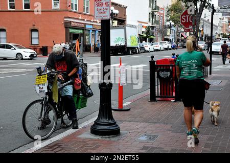 San Diego/california/ 28 septembre 2019/ chiens morkerin hsitoic Hearts gaslamp à San Deigo Californie Etats-Unis d'Amérique.(photo..Francis Dean / Deanimages). Banque D'Images