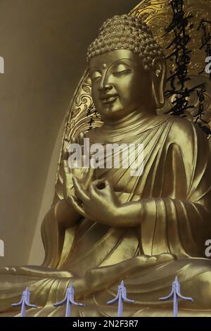 belle couleur dorée statue du bouddha de la pagode de paix japonaise à darjeeling, bengale occidental en inde Banque D'Images