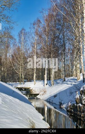 Paysage ensoleillé de parc d'hiver à Mustola, Lappeenranta Finlande Banque D'Images