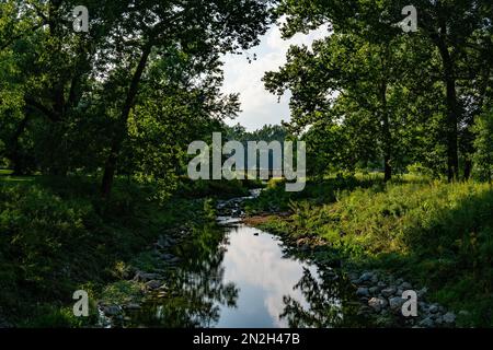 Une rivière étroite dans le parc forestier de St. Louis, Missouri entouré par les arbres verts Banque D'Images