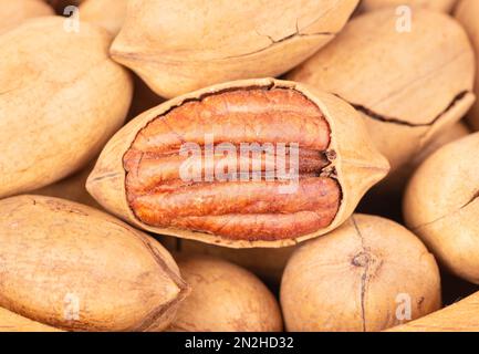 Tas de noix de pécan éparpillées dans la coque Banque D'Images