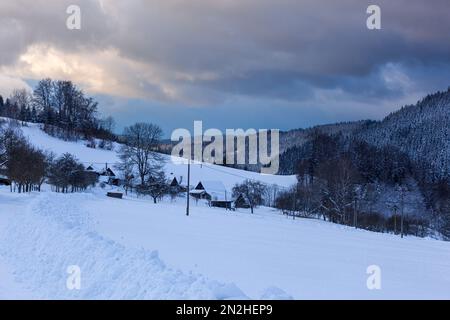 La moyenne montagne de Beskydy est sous la neige. Le soleil illumine la forêt de conifères. Banque D'Images