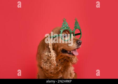 Adorable chien de Cocker dans des lunettes de fête sur fond rouge Banque D'Images