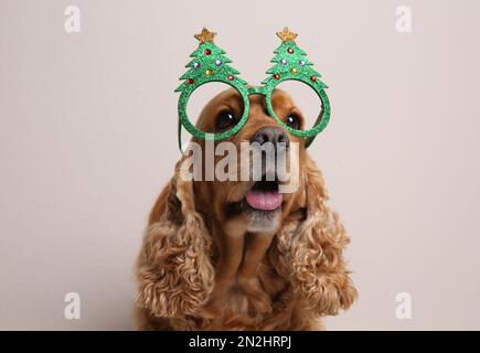 Adorable chien de Cocker dans des lunettes de fête sur fond clair Banque D'Images