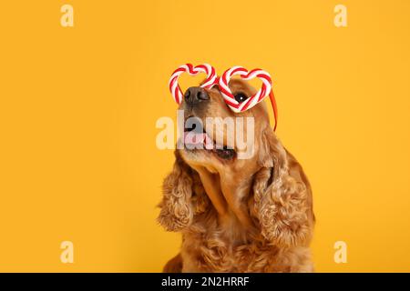 Adorable chien de Cocker dans des lunettes de fête sur fond jaune Banque D'Images