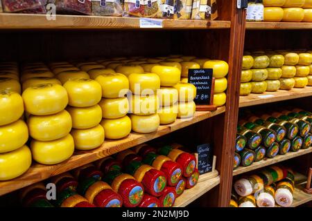 Fromages gouda hollandais sur une étagère dans un magasin, Amsterdam, pays-Bas Banque D'Images