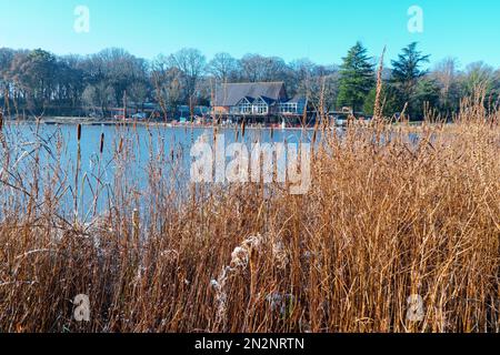 Café au bord d'un lac gelé. Llandrindod Wells Powys pays de Galles Royaume-Uni. Décembre 2022 Banque D'Images