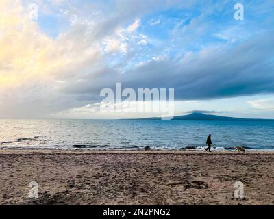 Silhouette d'un homme qui marche son chien sur la plage de St Heliers au coucher du soleil avec l'île Rangitoto au loin, Auckland, Île du Nord, Nouvelle-Zélande Banque D'Images