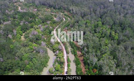 Une vue aérienne de la Drone montre Une vue de la forêt dense de mangroves Banque D'Images