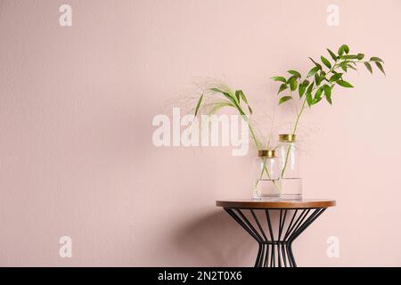 Vases en verre avec branches vertes sur la table près du mur rose. Espace pour le texte Banque D'Images