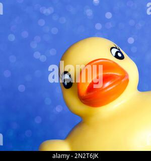 Happy Yellow Rubber Duck face surgissant dans le coin Banque D'Images