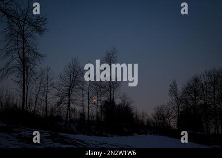 Pleine lune brillant sur un froid matin d'hiver, Waldviertel/ Autriche Banque D'Images