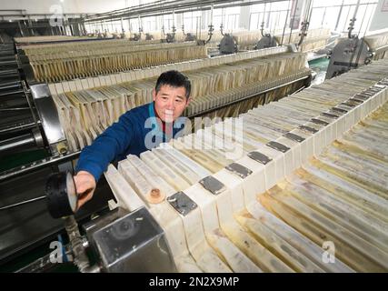 (230207) -- SHAOXING, 7 février 2023 (Xinhua) -- le Winemaker Song Xinglei vérifie la pression de la conduite d'alimentation dans un atelier d'extraction d'une brasserie à vin de riz dans le district de Yuecheng à Shaoxing, dans la province de Zhejiang, en Chine orientale, le 7 février 2023. Shaoxing est l'une des plus importantes bases de production et de vente de vin de riz jaune en Chine. Le vin Shaoxing est encore produit par les habitants de nos jours avec la méthode traditionnelle de brassage. Les techniques de préparation du vin de riz Shaoxing ont été classées comme patrimoine culturel immatériel national en 2006. À l'heure actuelle, il existe plus de 50 production et exploitation de vin de riz jaune enterpris Banque D'Images