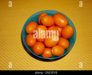 Fruits frais kumquat (fortunella margarita) Banque D'Images