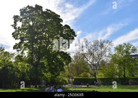 Une belle journée d'été à Riegrovy Sady, Prague République tchèque. Banque D'Images