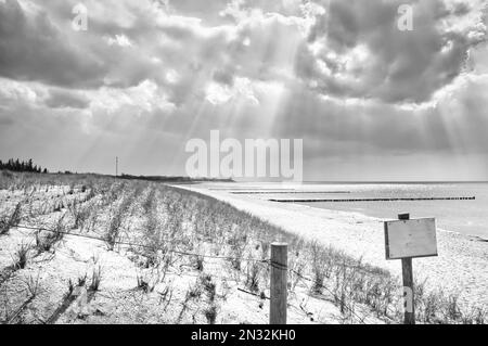 Rayons du soleil qui brillent à travers des nuages denses sur la plage de la mer Baltique pris en noir et blanc. Panneau au croisement de la plage. Groynes sur la côte. Sable Banque D'Images