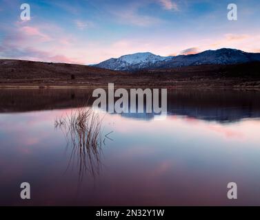 Sugru (ou Shugru) Reservoir dans le comté de Lassen Californie États-Unis au coucher du soleil avec des roseaux en premier plan et Thompson Peak en arrière-plan. Banque D'Images