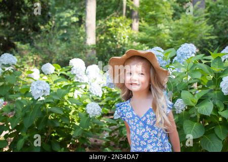 Mignon caucasien souriant petite fille dans un chapeau de paille debout près du buisson florissant d'hortensia bleu Banque D'Images