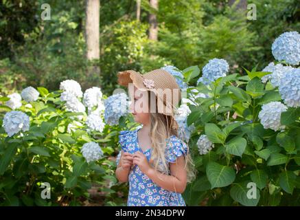 Mignonne petite fille caucasienne dans un chapeau de paille debout près de la fleur de buisson de l'hortensia bleu Banque D'Images