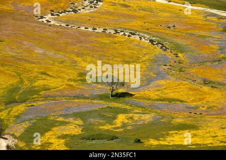 Antennes de fort Hunter Liggett, Californie et ses environs, 10 avril 2019. Banque D'Images