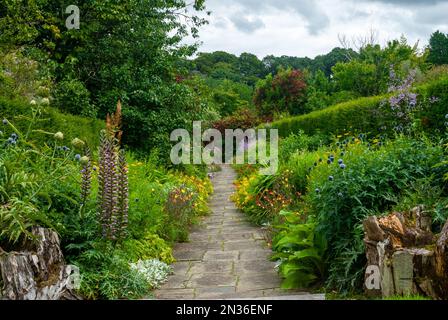 Beau jardin dans une émeute de couleurs pendant l'été, verts, rouges, jaunes, et bleus vibrants. Avec un chemin traversant le milieu. Banque D'Images