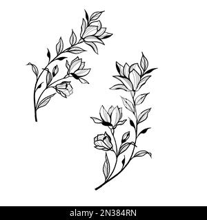 Belle esquisse d'un tatouage - une délicate brindille avec des fleurs .Fleurs Periwinkle.Dessin à la main.Contour.Sur fond blanc Banque D'Images