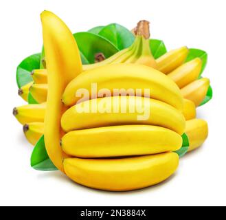 Affiche de banane, feuilles de banane vertes et beaucoup de bananes isolées sur fond blanc. Banque D'Images