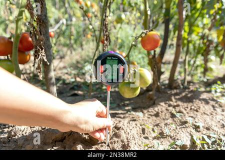 Mesure de la température, de la teneur en humidité du sol, de l'humidité de l'environnement et de l'éclairage du potager Banque D'Images