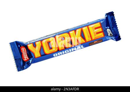 Yorkie Bar Banque D'Images