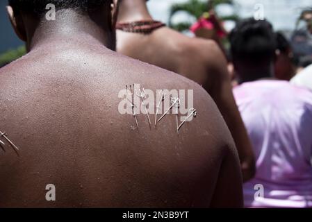 Taipoosam Cavadee à Maurice : rituel et pénitence tamouls. Les dévotés percent les joues et la langue et portent 'Cavadee' sur le pèlerinage au temple. Banque D'Images