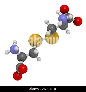 Molécule de cystine. Dimère oxydée de la cystéine d'acide aminé. 3D rendu. Les atomes sont représentés comme des sphères avec un codage couleur conventionnel : hydrogène ( Banque D'Images